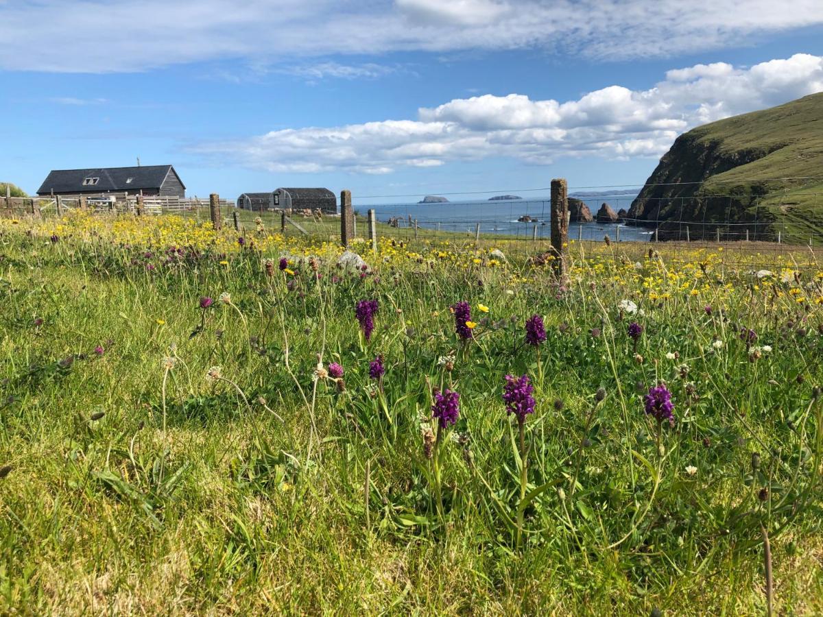 Bed & Breakfast Seacroft Licensed And Restaurant Aird Uig
